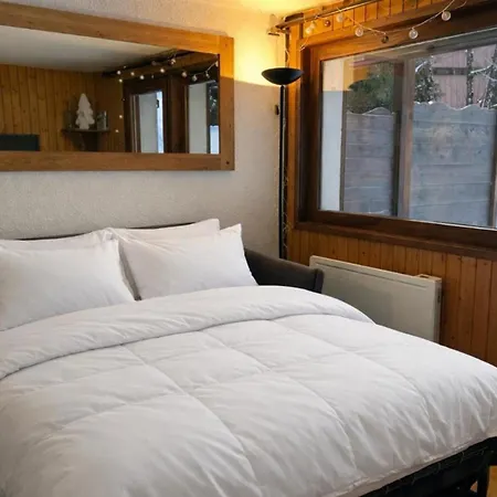 아파트 Cozy With Garden Parking And Mont-blanc View *