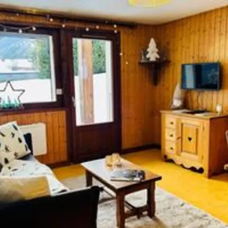 Cozy With Garden Parking And Mont-blanc View 샤모니